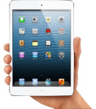 iPad Mini